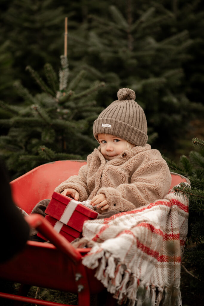 xmas mini 24 janine Galerie29