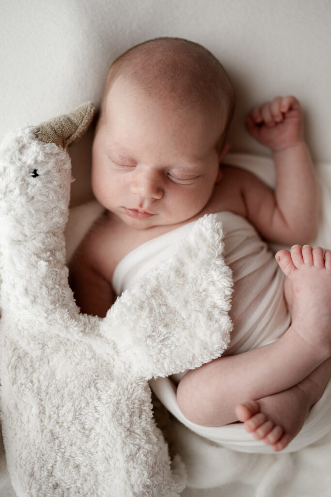 10 NB Finn 2024 Galerie218web